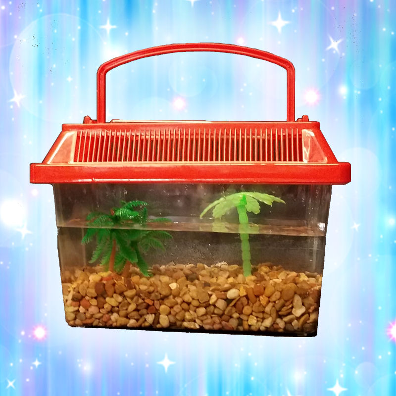 Mini Fish Tank Stations | Clowning Around & Celebration Authority