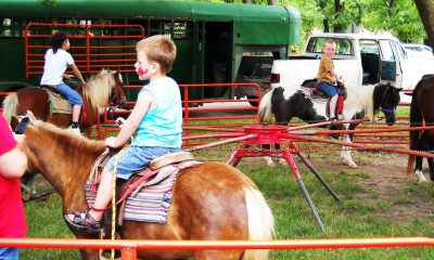 Rental Pony Rides For Carnival Themed Event