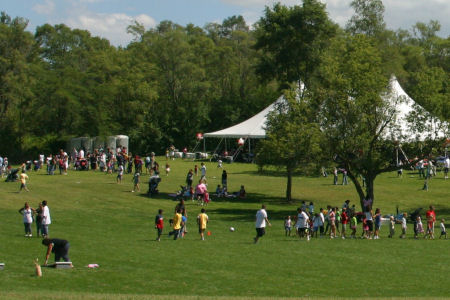 People Having Fun At A Company Picnic