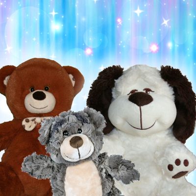 stuff-a-plush-build-a-bear-Craft-Event-Rental