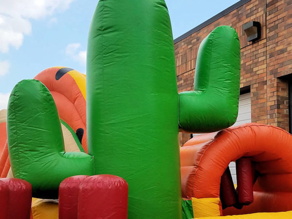 Radical-Wrangler-back-Chicago-Inflatable-Rental