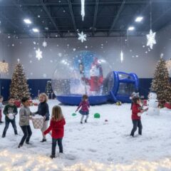 dfee1ea8-042a-4deb-bec4-a5203828009a_2