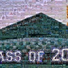 Stagg 2020 high-res-mosaic