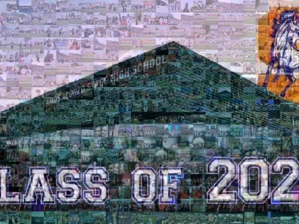 Stagg 2020 high-res-mosaic