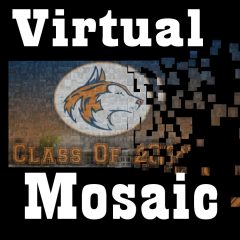 Virtual-Mosaic