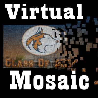 Virtual-Mosaic