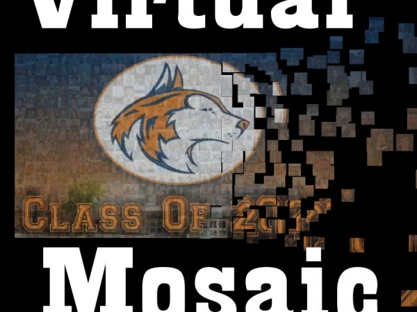 Virtual-Mosaic