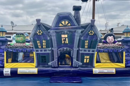 Haunted Mansion 8211 new item